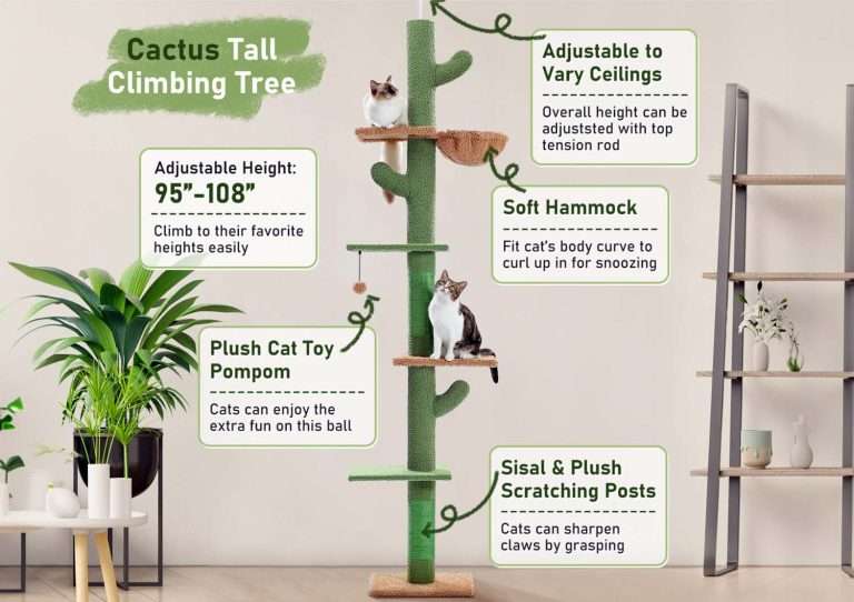 Best Floor To Ceiling Cat Trees Of Ultimate Guide