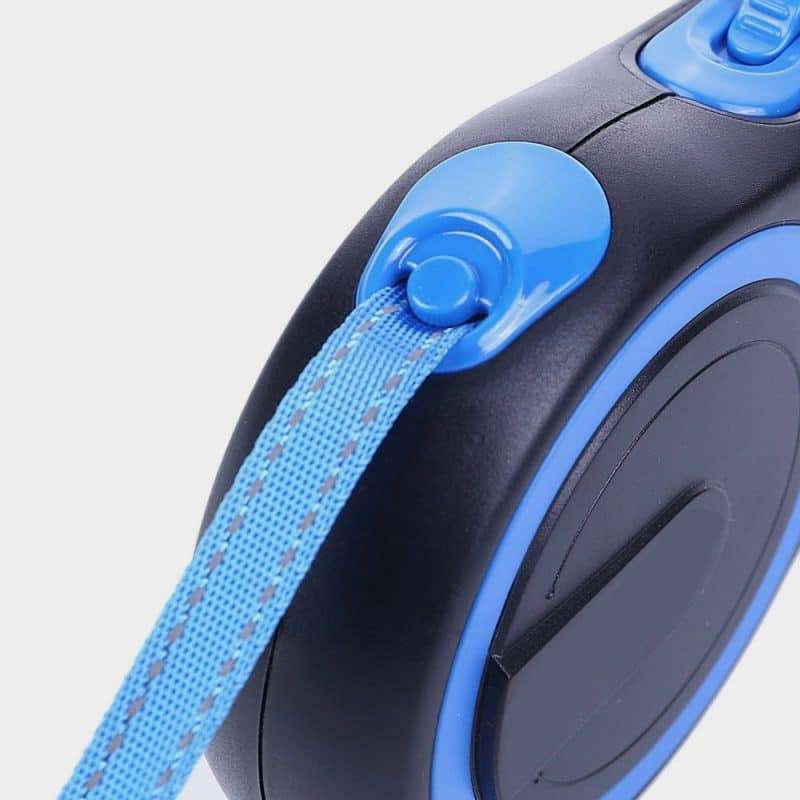 Kingpin Retractable Cat Leash Explore Feline Freedom