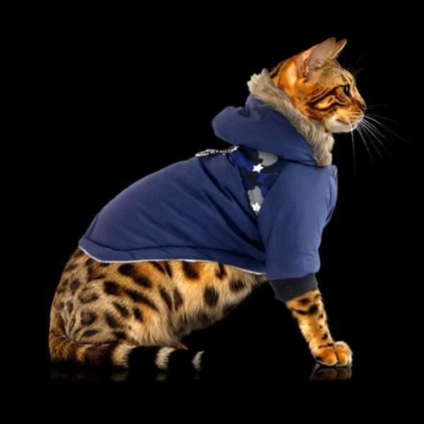 Parka pour chat Dorwin Cat bleu