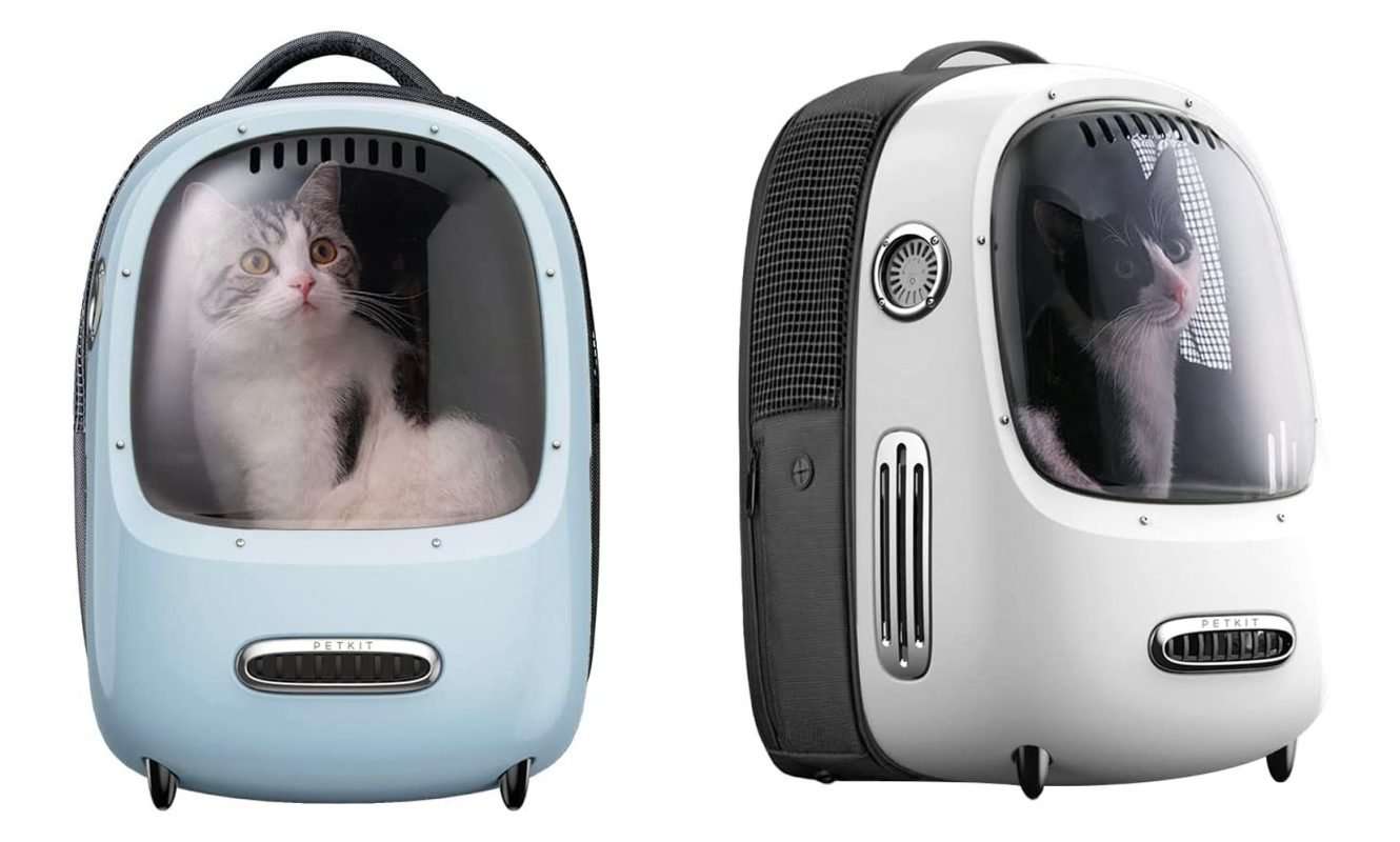 Cat Backpack Carriers Your Complete Guide To Cat Travel