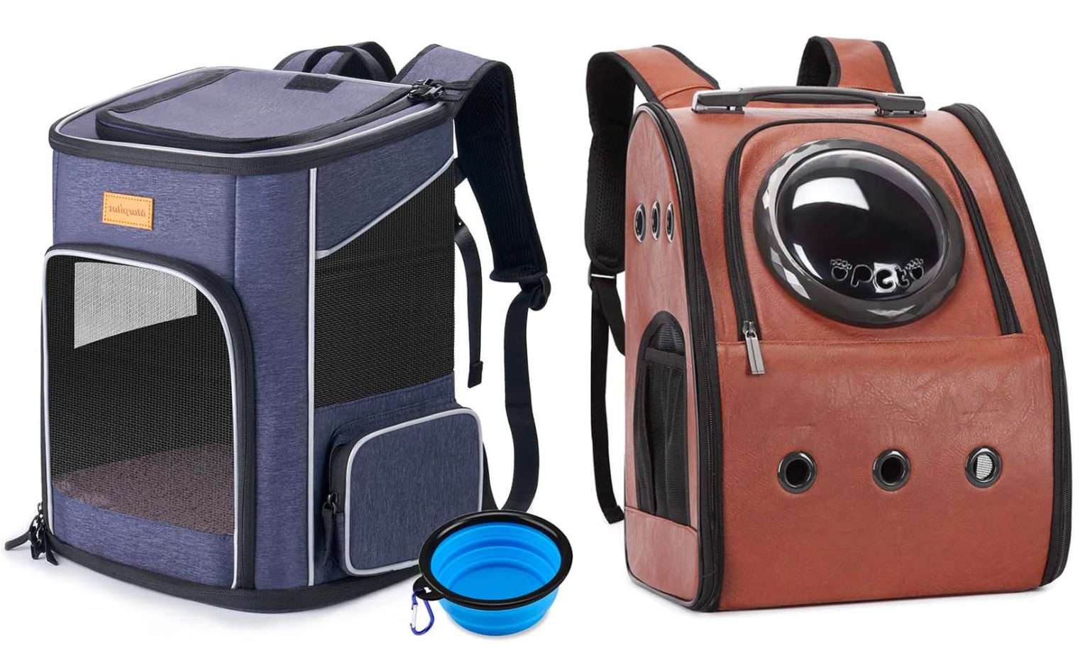 Cat Backpack Carriers Your Complete Guide To Cat Travel