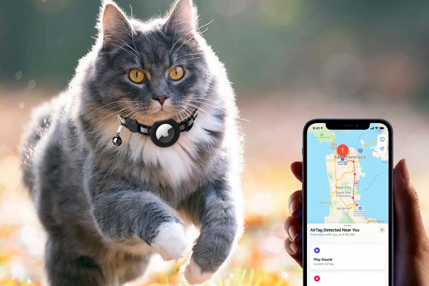 Pet Spotter Cat tracker  Ontdek de avonturen van je kleine vriend