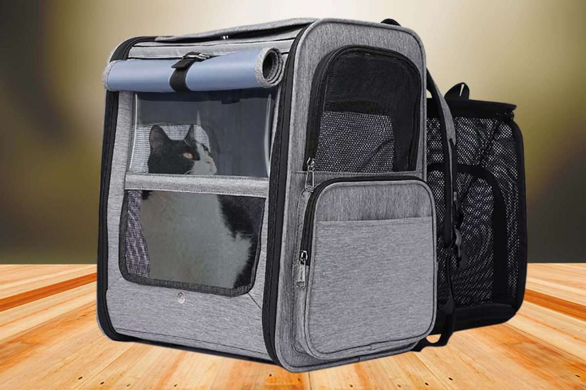 GJEASE Cat Backpack Carrier