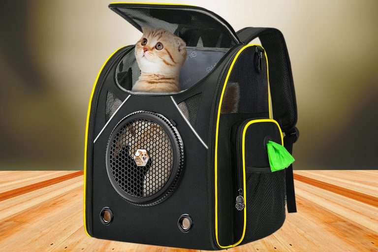 LOKASS Pet Carrier: Large Cat Backpack Review