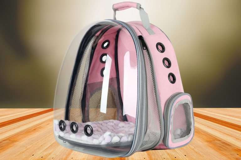 Lollimeow cat backpack carrier with transparent dome bubble window review