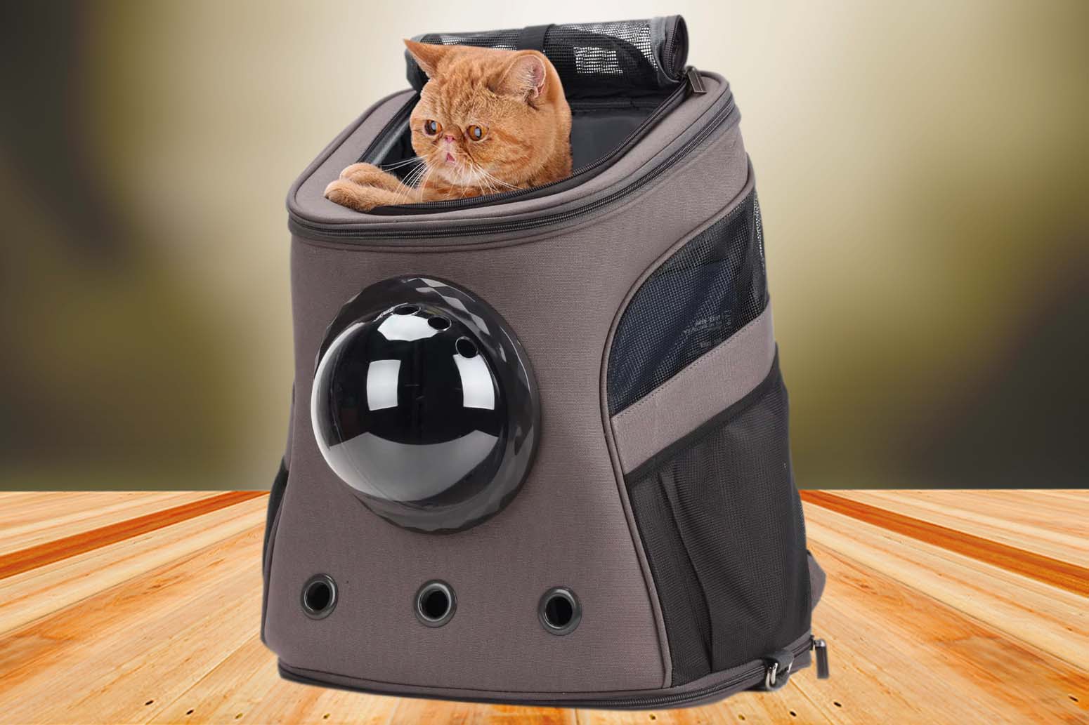 lollimeow large cat backpack with bubble window