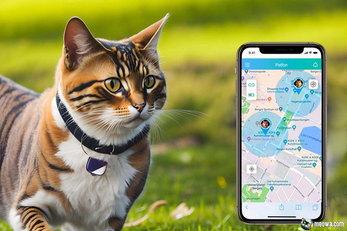 Top 6 Best Cat GPS Trackers 2024 Ultimate Guide & Reviews