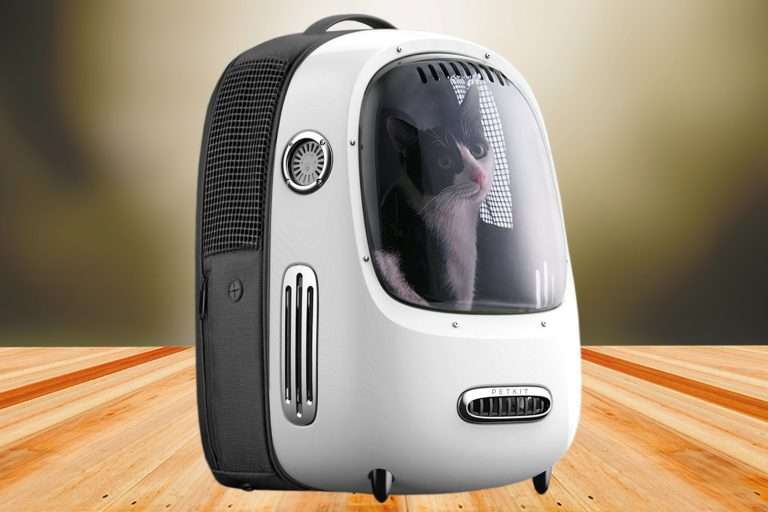 PETKIT Breezy Dome Cat Backpack Review