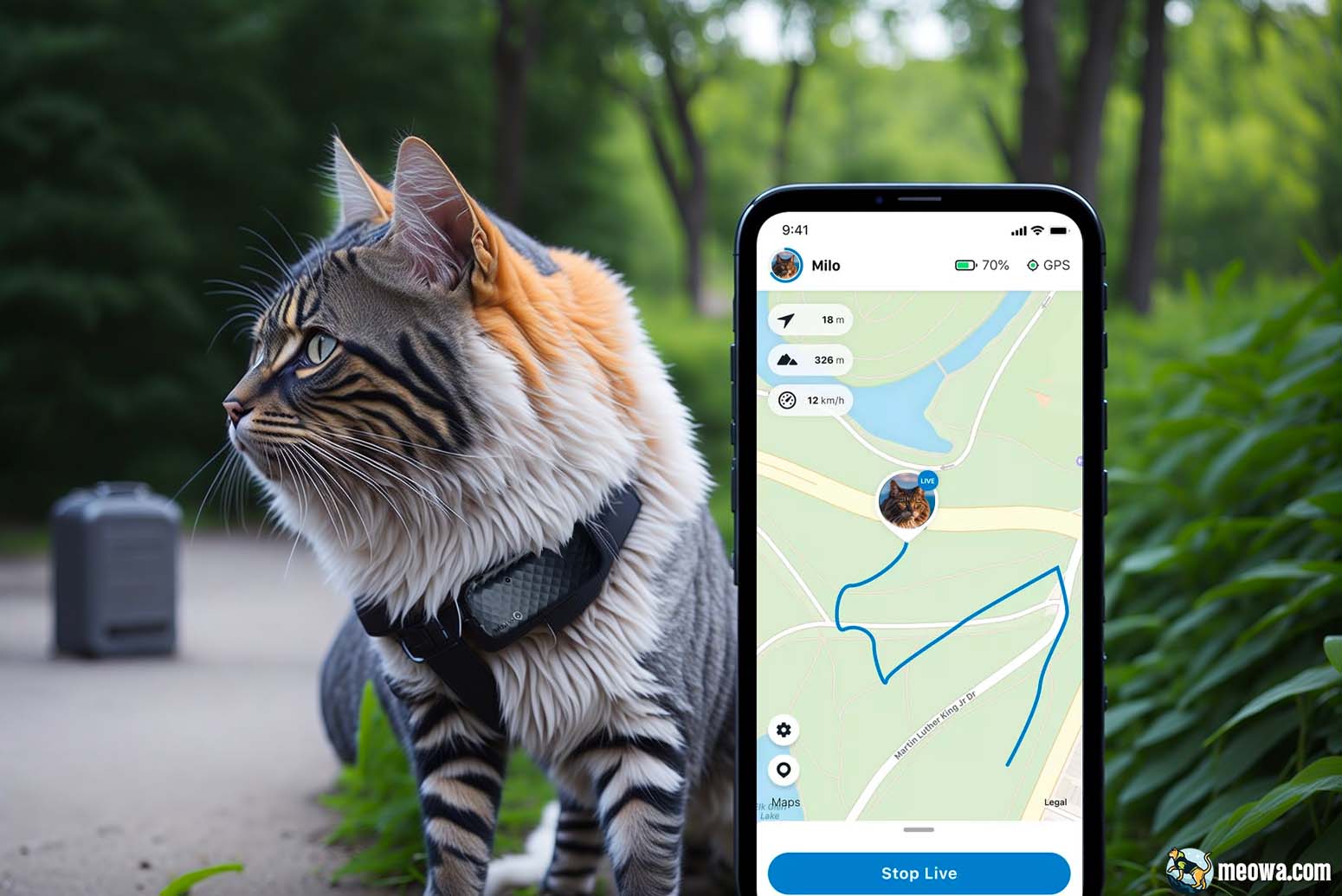 Tractive GPS Cat GPS Tracker For Cats 