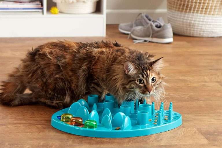 Best cat food puzzle feeder toys