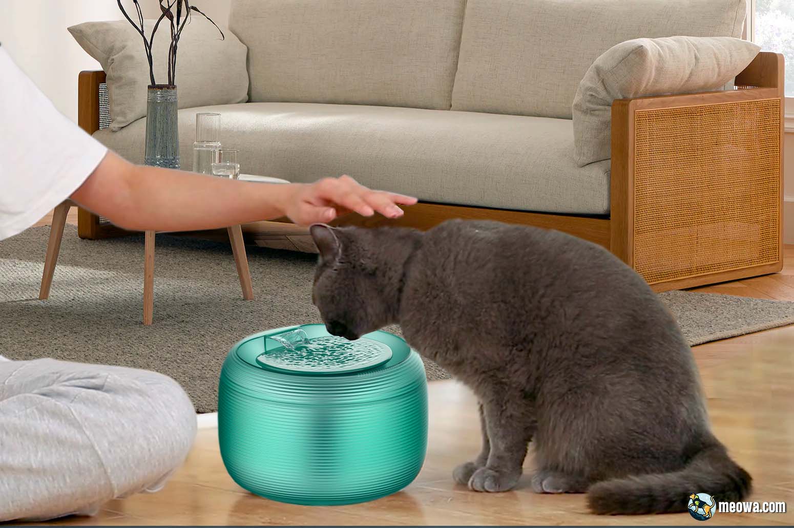 Best Cat Water Fountains