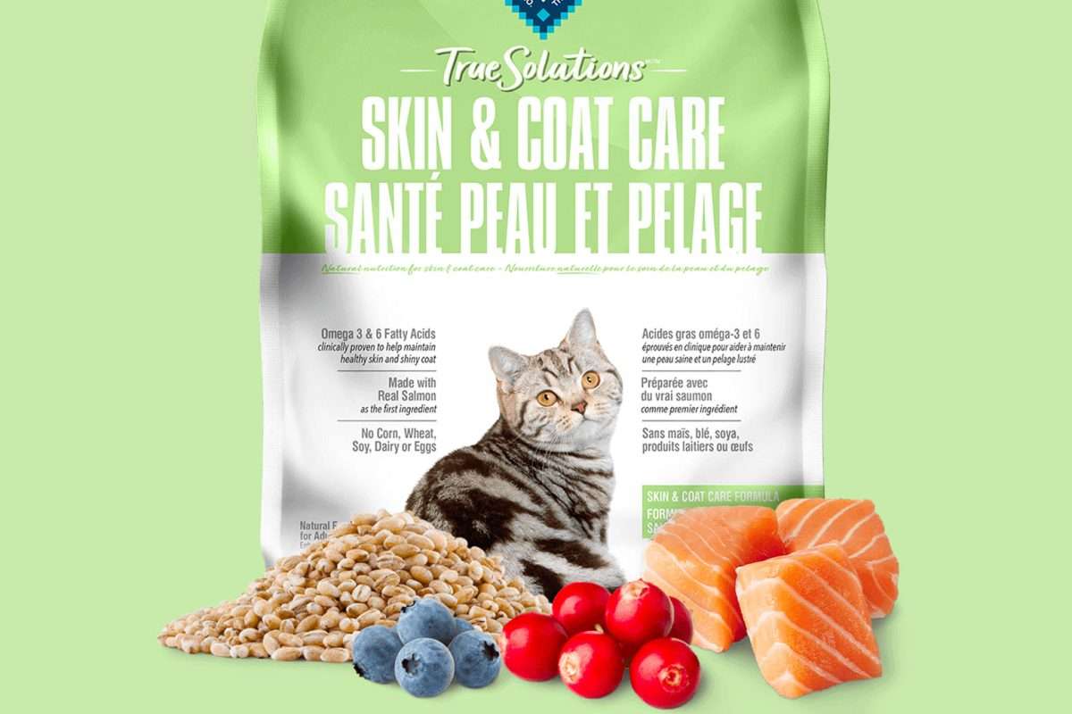 Reduce Cat Shedding Proven Tactics For A FurFree Home