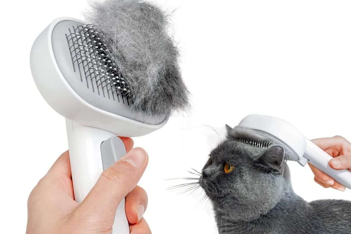 Cat grooming brush for shedding