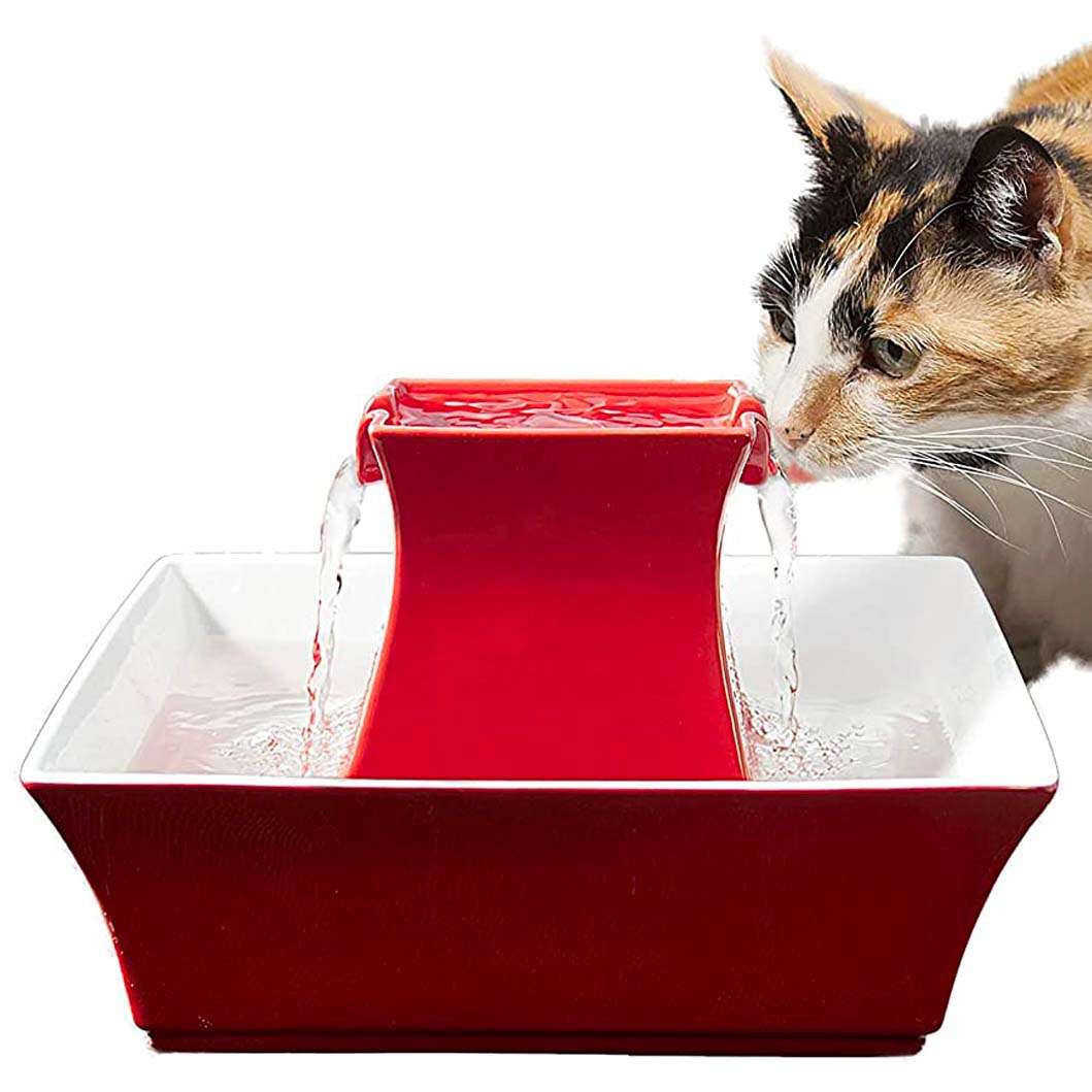 Best Cat Water Fountains Ultimate Buyer’s Guide 2024