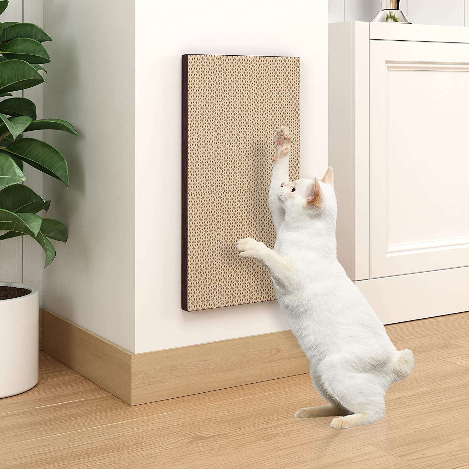 Wall Mounted Scratch Pad