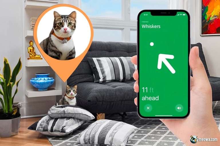 Apple Airtag for Cats: Find My Cat