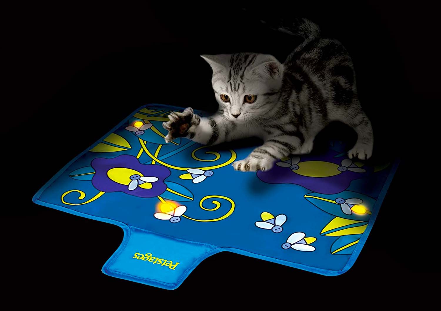 The Benefits of Interactive Toys for Cats--Petwant