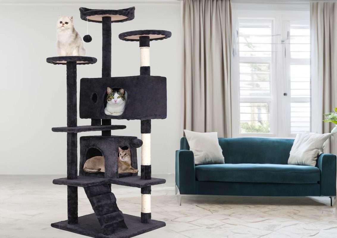 10 Best Cat Trees For Large Cats: Your 2023 Buying Guide