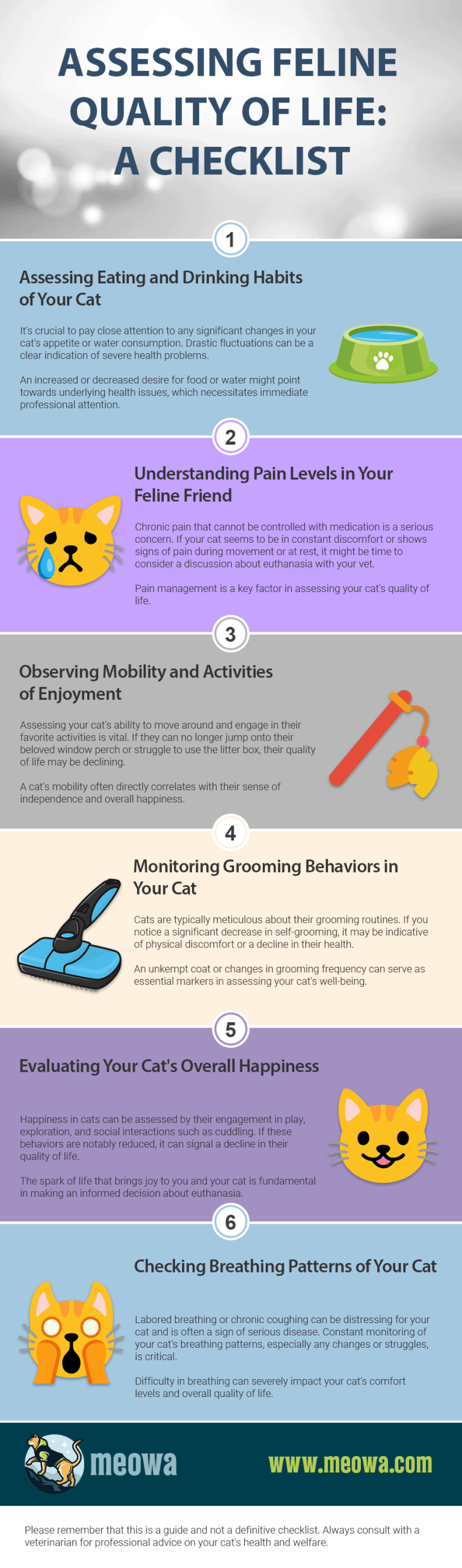 When To Put Your Cat Down Quiz, Checklist & Complete Guide