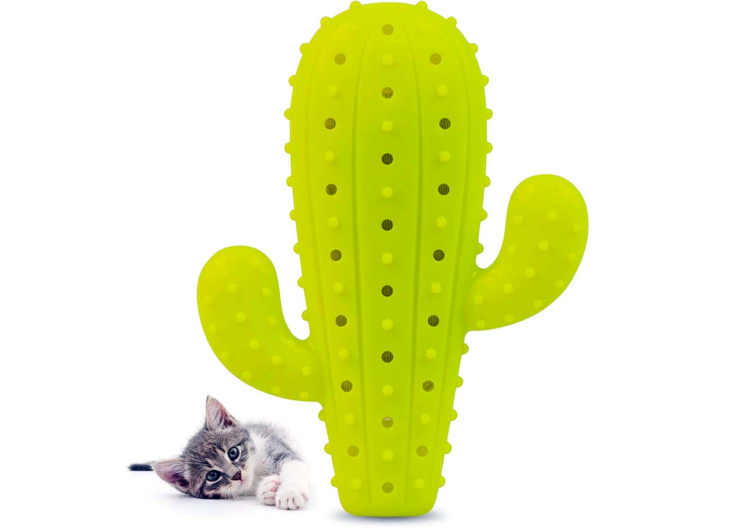 pet craft supply cactus interactive cat chew toy