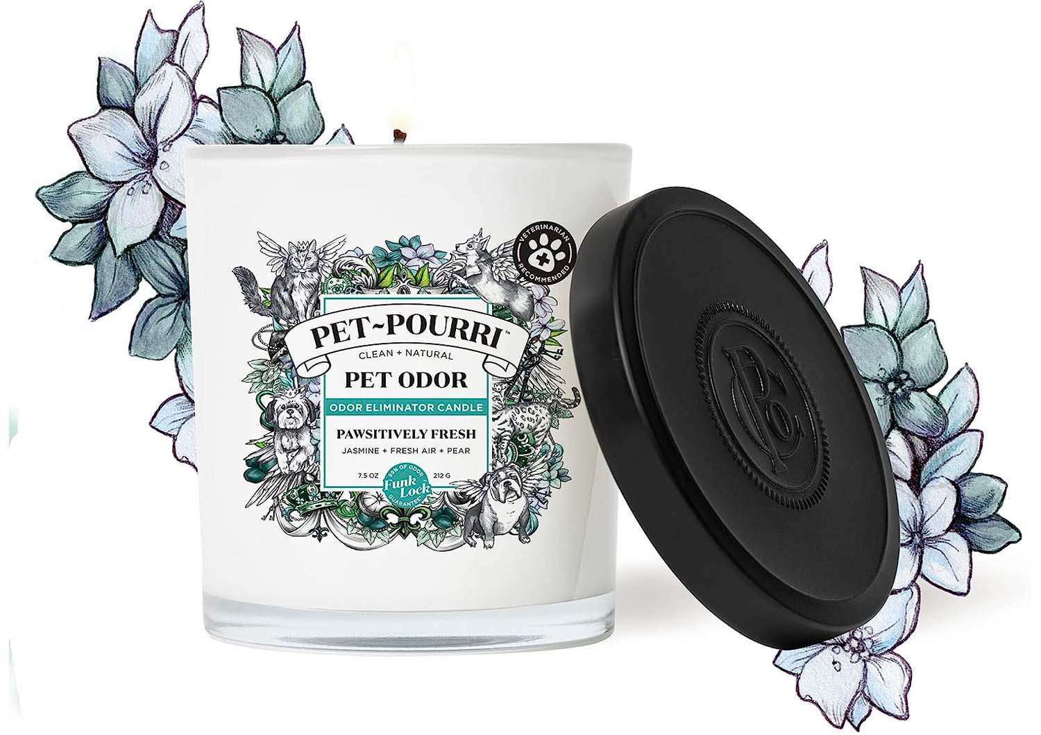 pet pourri pet odor eliminator candle pawsitively fresh