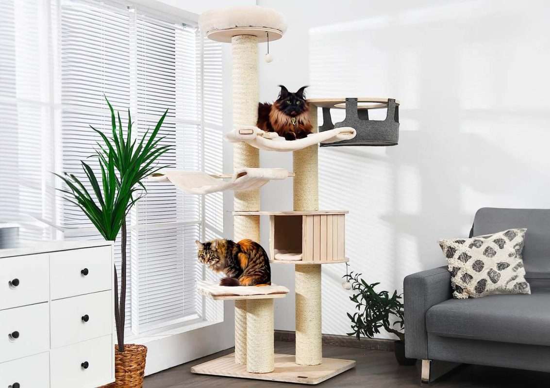 10 Best Cat Trees For Large Cats: Your 2023 Buying Guide